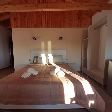 Guest House Luiza Borsh Zimmer foto