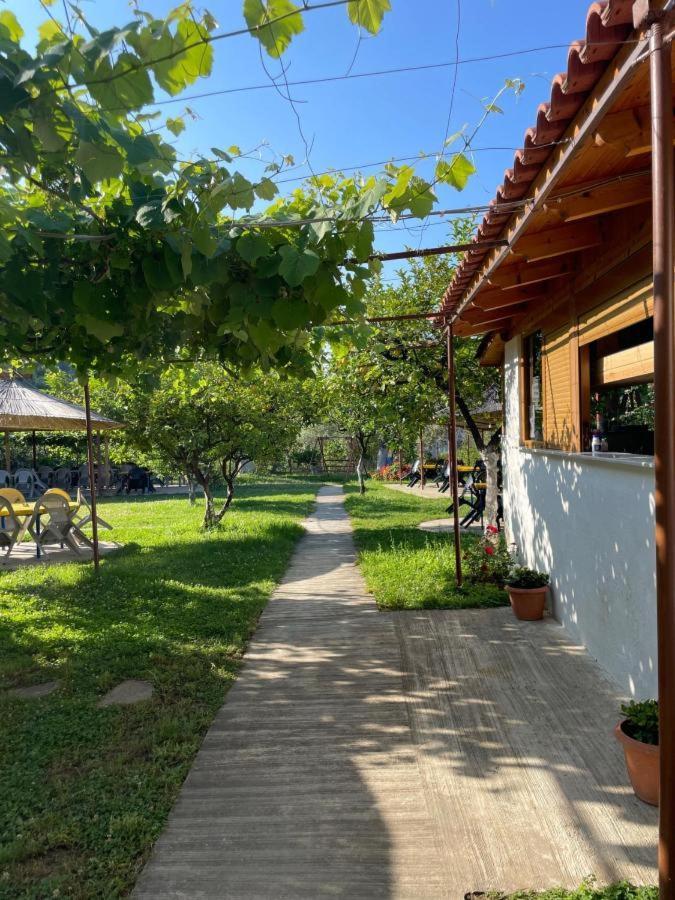 Guest House Luiza Borsh Exterior foto