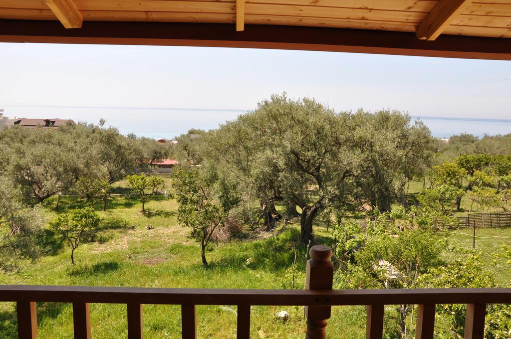 Guest House Luiza Borsh Zimmer foto
